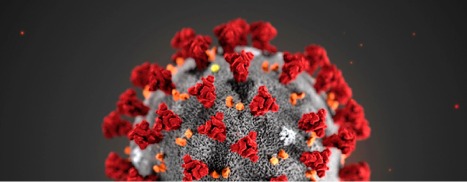 coronavirus latest image